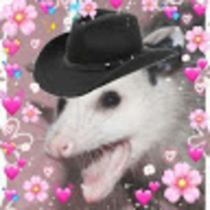 Meet your Posher, Mia